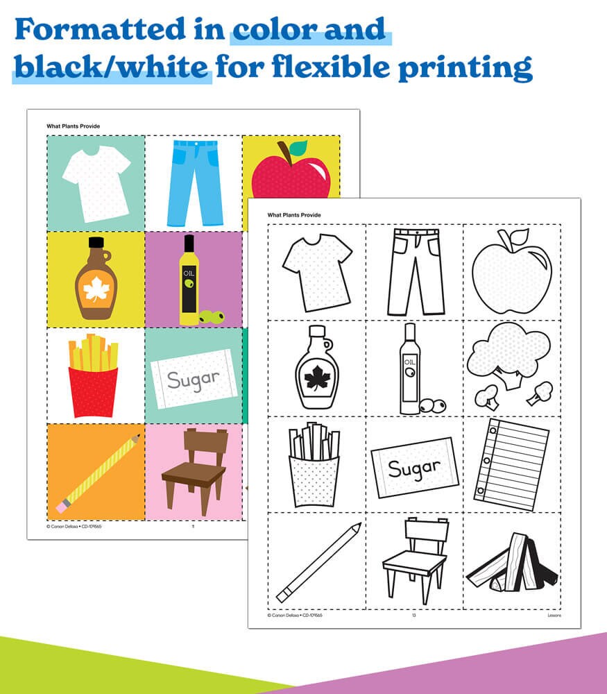 Plants Printable, Science &amp; STEM Activity Worksheet Bundle, Instant ...