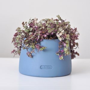 Ceramic Planter, Houseplant Pot, Indoor Plant Pot, Nordic Style Planter, Ceramic Pottery, Small Pot image 1