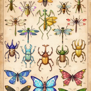 A3 Fantasy Video Game Inspired BOTW Insects Vintage Antique Entomological Poster Beetles Dragonflies Butterflies