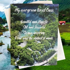 Inspirierende Notiz Karte, leer für alle Anlässe, Wald Oase Grußkarte, Natur Zitat Karte, Karten für Geschenke