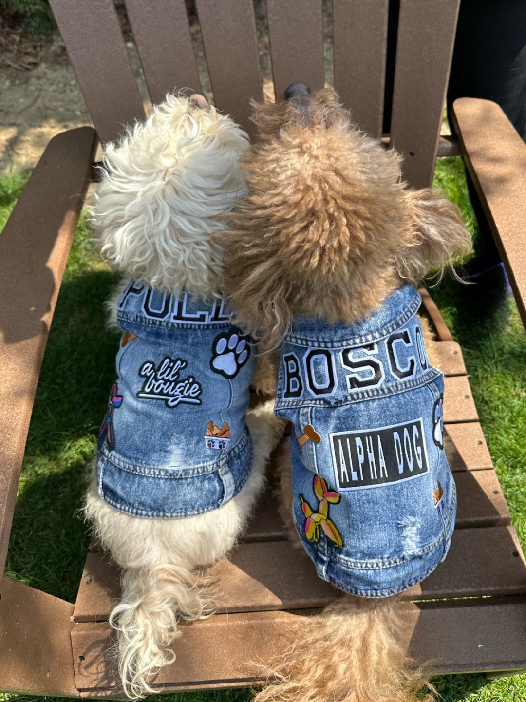 Xsmall Dog Jacket Denim DOG Jacket Denim DOG Vest Dog Etsy