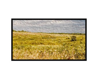 Midwest Summer Prairie Landscape for Samsung Frame TV Art