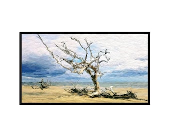 Jekyll Island Georgia Beach Driftwood Landscape for Samsung Frame TV Art