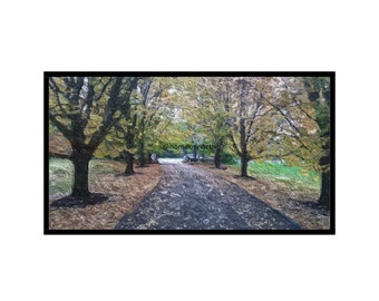 Fall Road Landscape for Samsung Frame TV