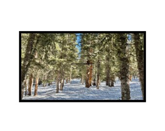 Colorado Winter Snow Covered Forest for Samsung Frame TV Art