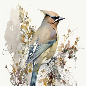 May include: A watercolor painting of a Bohemian Waxwing perched on a branch with berries. The bird has a brown and gray body with a blue tail and black markings on its wings. The background is a soft watercolor wash of gray and brown.