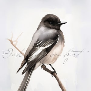 Art mural imprimable noir Phoebe Bird pour salon, peinture à l'aquarelle d'oiseau pour carte de voeux, téléchargement numérique immédiat