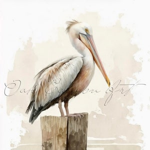 Art mural imprimable vintage oiseau pélican pour le salon oeuvre de peinture aquarelle oiseau pour carte de voeux Téléchargement numérique instantané