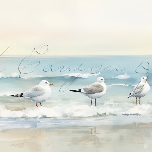 Shorebirds Banner 48" x 18" Printable Digital Download