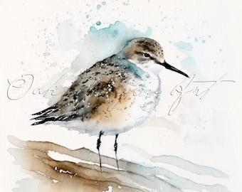 Sandpiper Bird Printable Wall Art for Living Room Bird Watercolor Painting Artwork for Greeting Card Instant Digital Download