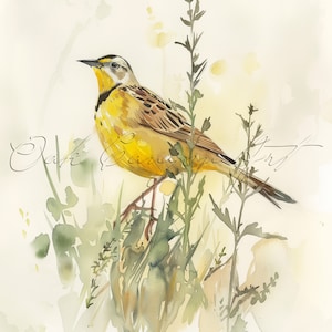 Western Meadowlark Watercolor Bird Wall Art Poster Print for Home Decor