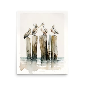 Pelicans Wall Art Poster
