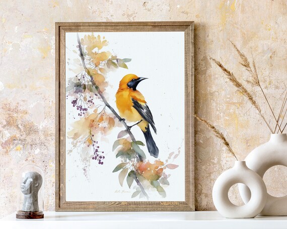 Hooded Oriole Bird Printable Wall Art for Living Room Bird