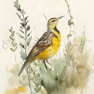 Western Meadowlark Watercolor Bird Wall Art Poster Print for Home Decor