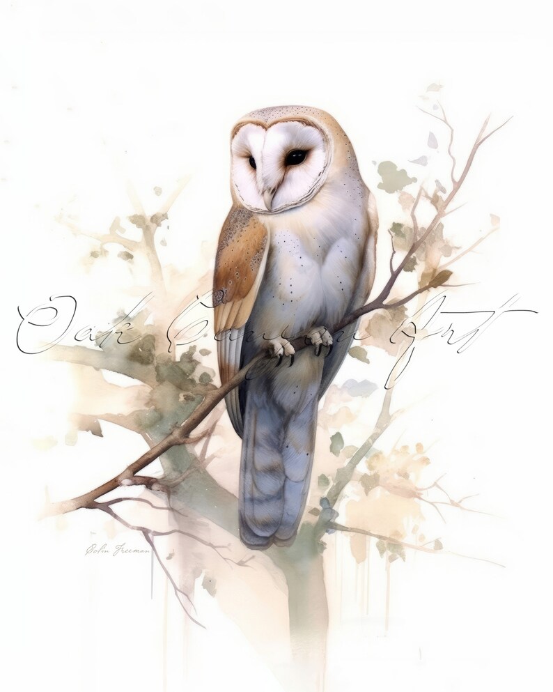 Barn Owl Wall Art for Living Room Bird Watercolor Painting for Bathroom