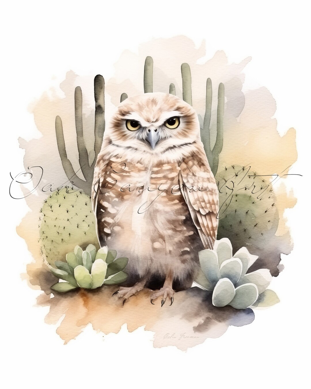 Burrowing Owl Vintage Bird Printable Wall Art for Living Room Bird ...