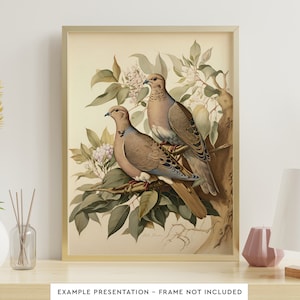 Mourning Doves Vintage Bird Wall Art for Living Room Bird Watercolor Painting for Bathroom Wall Decor Poster Print