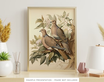 Tórtolas de luto: Arte de pared vintage para sala de estar, acuarela de aves para baño, póster decorativo.