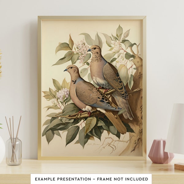 Mourning Doves Vintage Bird Wall Art for Living Room Bird Watercolor Painting for Bathroom Wall Decor Poster Print