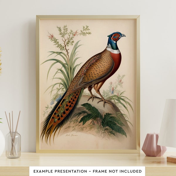 Ring-Necked Pheasant Bird Wall Art for Living Room Bird Watercolor Painting for Bathroom Wall Decor Poster Print