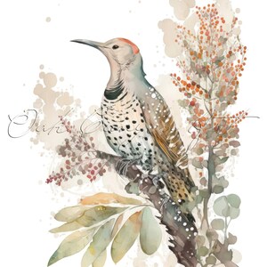 May include: A watercolor painting of a woodpecker perched on a branch with brown, green, and orange leaves. The bird has a red head and black and white spots on its body.
