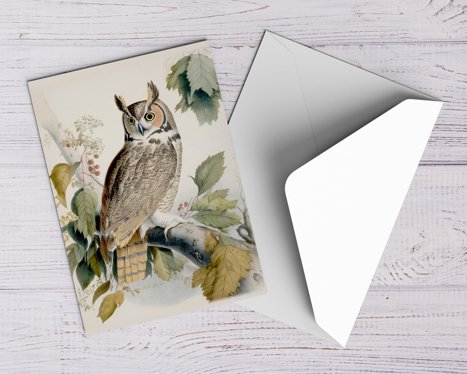 Great Horned Owl Vintage Bird Printable Wall Art for Living Room Bird ...