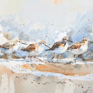 Puede incluir: Una pintura de acuarela de cuatro correlimos caminando por una playa de arena. Las aves son marrones y blancas con patas y picos largos. El fondo es un suave azul y blanco con salpicaduras de color.
