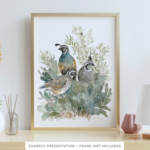California Quail Bird Wall Art for Living Room Bird Watercolor Painting for Bathroom Wall Decor Poster Print