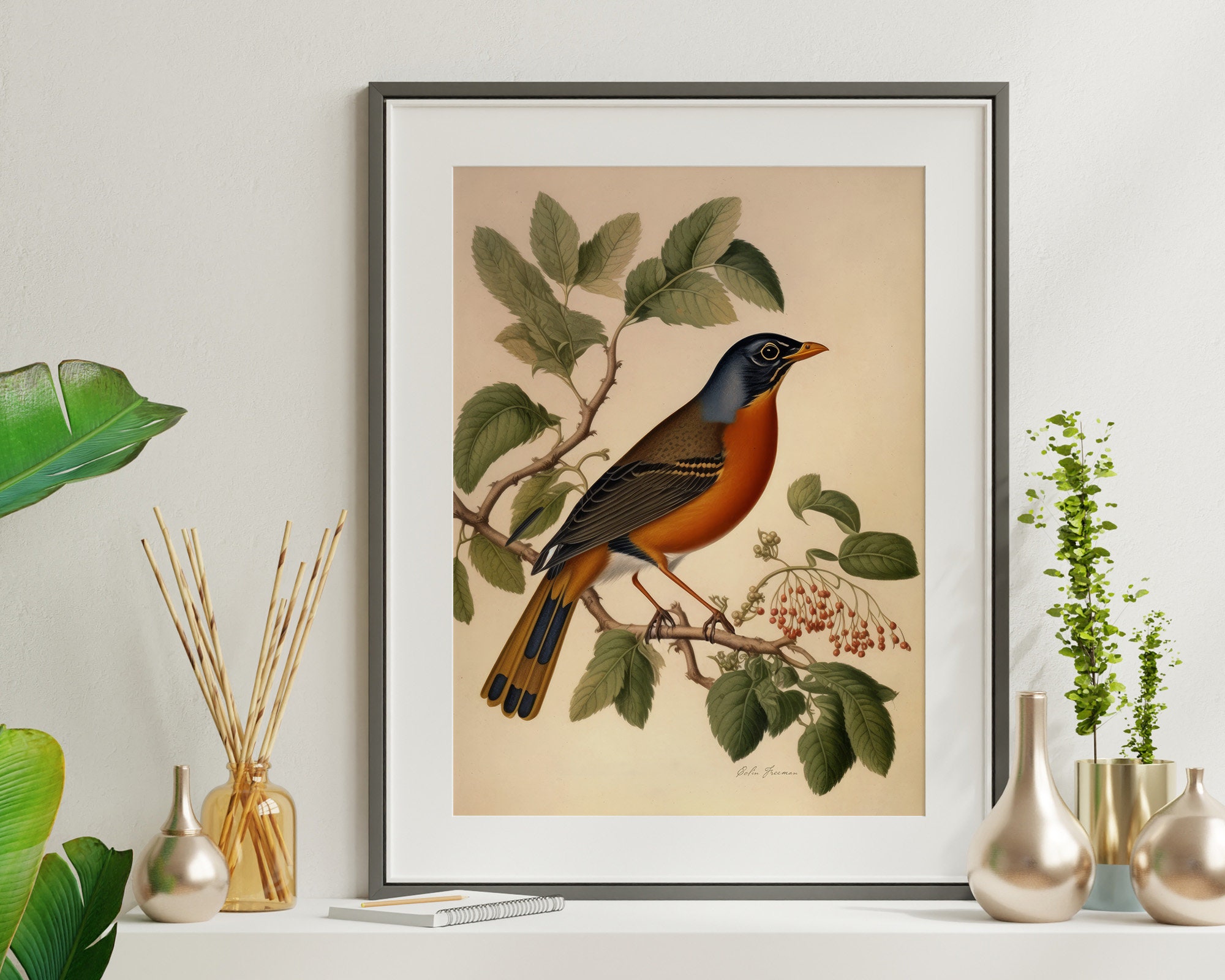 American Robin Vintage Bird Printable Wall Art for Living Room Bird ...