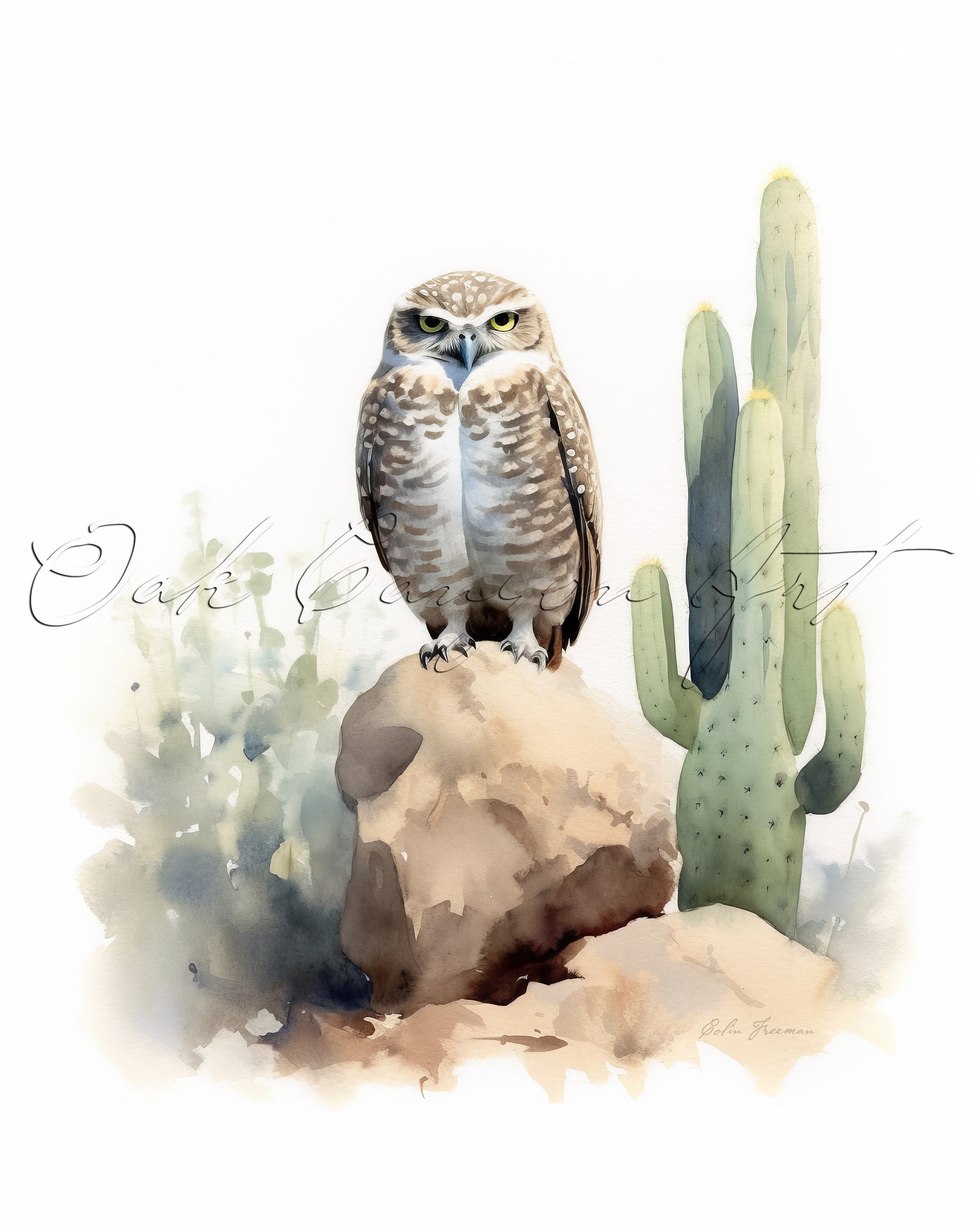 Burrowing Owl Vintage Bird Printable Wall Art for Living Room Bird ...