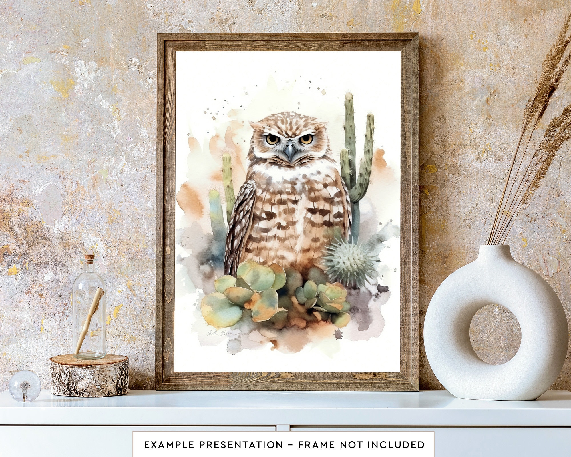 Burrowing Owl Wall Art for Living Room Bird Watercolor Painting for Bathroom Wall Decor Poster Print