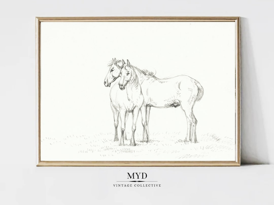 Vintage Horses Sketch Printable Wall Art, Vintage Art Prints, Vintage ...