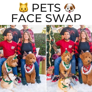 Pet Face Swap, QUICK TURNAROUND, Photo Editing, Photoshop, Image Correction, Dog or Cat, Photo Edit, Faceswap