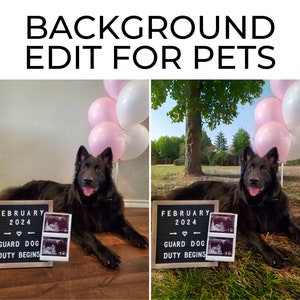 Fix Photo Edit Background QUICK TURNAROUND! Editing, Clean up or Change Background, Image Correction, Photoshop, Pet Portrait