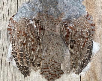 Hungarian (gray) Partridge Skin – Feathers for FLY TYING: A305