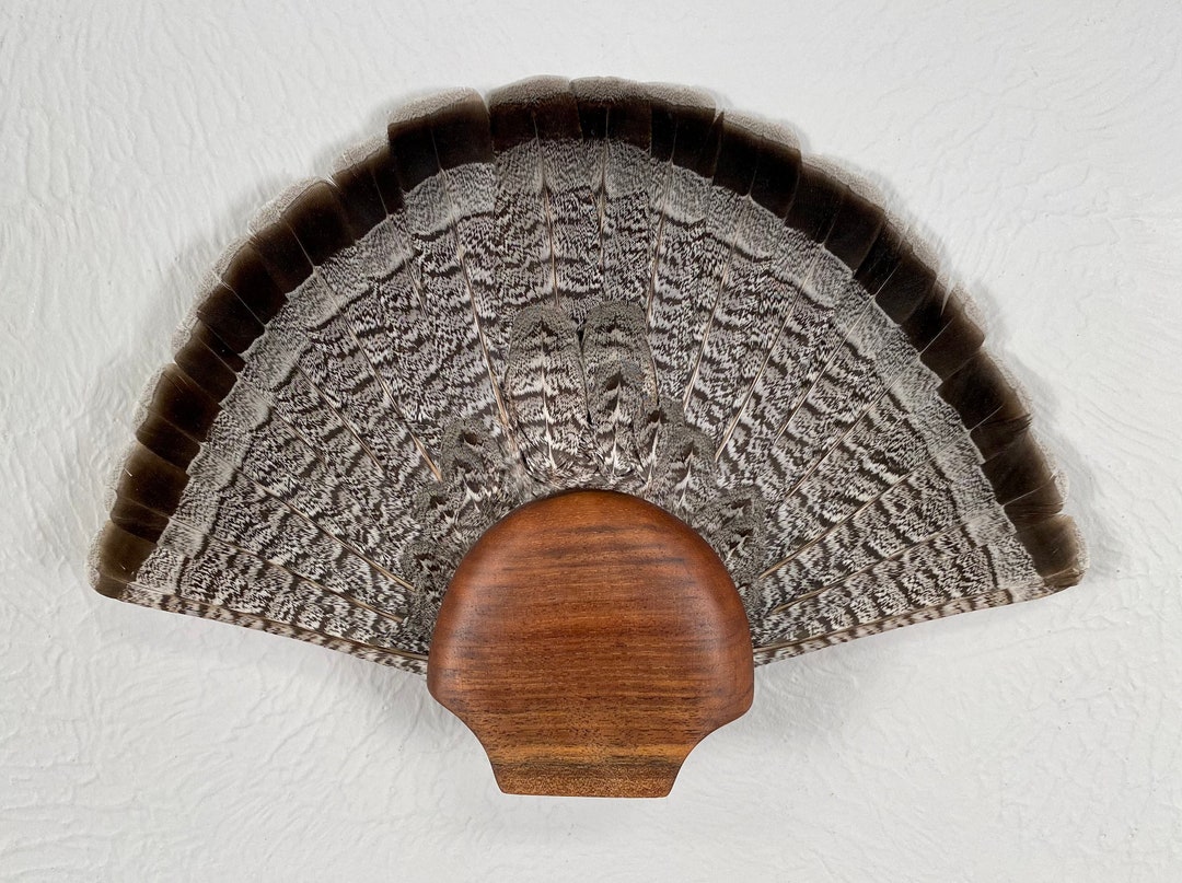 Upland BIRD TAIL FAN Mounter Walnut, Size Small ruffed Grouse Etsy