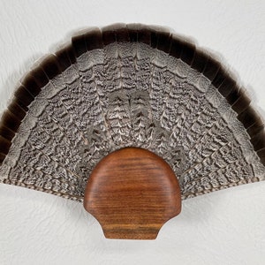 Upland BIRD TAIL FAN Mounter – Walnut, Size Small (Ruffed Grouse)