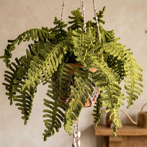 Puede incluir: Una planta de helecho tejida a ganchillo con hojas de color verde vibrante que cuelga de una maceta de terracota. La planta está suspendida por un cordón de color claro con pequeñas cuentas blancas redondeadas. El follaje texturizado imita un helecho.