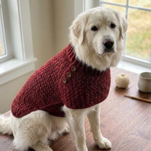Op de afbeelding: Een hond draagt een donkerrode, getextureerde gebreide trui met een geribbelde kraag en drie bruine knopen op de schouder. De trui heeft een dik, geweven patroon en bedekt de rug en borst van de hond voor een nauwsluitende pasvorm.