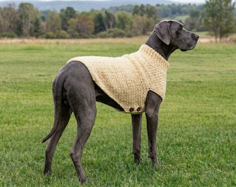 Large Dog Sweater Crochet Pattern PDF | Cozy Pet Coat (Instant Download)