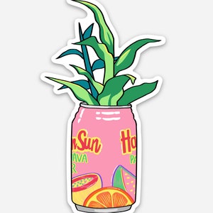 Hawaiian Sun Cute Soda Sticker • Vinyl Decals, Gifts for Her, Waterproof, Weatherproof, Water Bottle Sticker, Hawaii