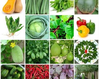 Vegetable seeds l High Quality Bangladeshi Italian Thai Chinese Indian Vegetable seeds l Asian Vegetable Spinach, Bottle gourd, okra, Herb