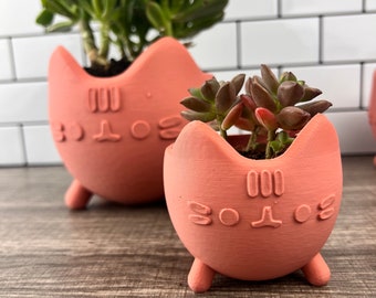 Cat Happy Planter in ALL Colors! Kawaii Planter, Planter with Cute Cat Face, Planter with ears, Succulents, Indoor Planter, Cacti planter