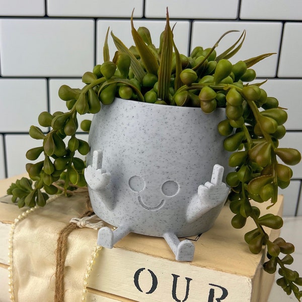 Middle Finger Happy Planter in ALL Colors! Kawaii Planter, Planter with Face, Planter with Middle Finger, Succulent Planter, Indoor Planter