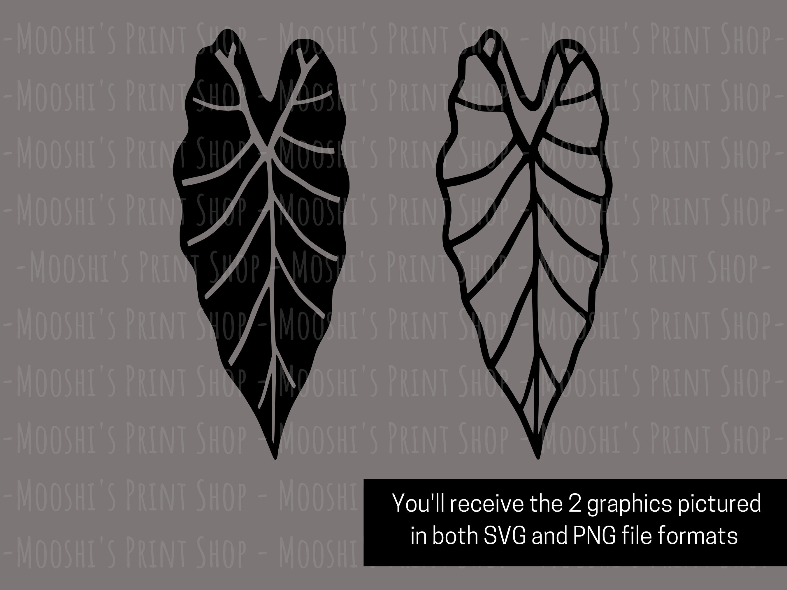 Alocasia Blatt Clipart, Elefantenohr Pflanze Silhouette Grafiken, exotische  tropische Zimmerpflanze, einfache Sublimation geschnitten Dateien, Download  SVG PNG - Etsy sterreich