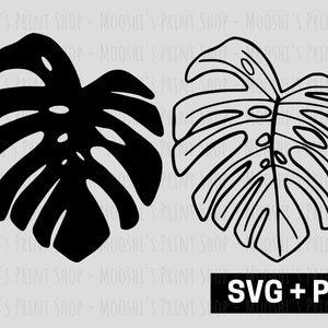 Imágenes Prediseñadas de hoja de Monstera Deliciosa, gráficos de silueta de planta de queso suizo, planta de interior tropical exótica, archivos de corte de sublimación, descargar SVG PNG