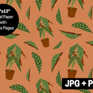 Spotted Begonia House Plant Digital Paper, Exotic Tropical Houseplant Seamless Repeating Pattern, Polka Dot Leaves, Plant Lovers PNG JPEG