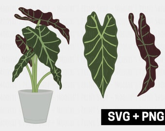 Alocasia Potted Plant Clipart Bundle, Exotic Elephant's Ear Leaf Graphics, Cute Tropical Green Plant Images, Sublimation Cut Files SVG PNG