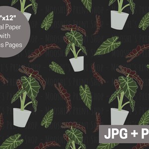 May include: A seamless digital paper pattern featuring a repeating design of green and white potted plants with large leaves, set against a black background with brown leaves. The text "12"x12" Digital Paper with Bonus Pages" and "JPG + PNG" are also included in the design.