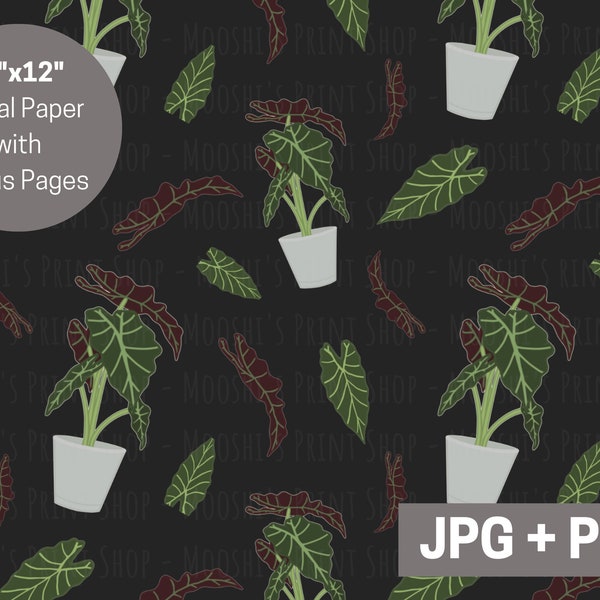 Alocasia House Plant Digital Paper, Exotic Tropical Houseplant Seamless Repeating Pattern, Cute Elephant Ear Leaves, Plant Lovers PNG JPEG